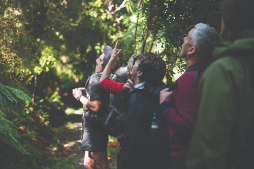 A Once-in-a-Lifetime Conservation Journey in the Hollyford Valley